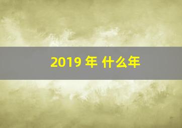 2019 年 什么年